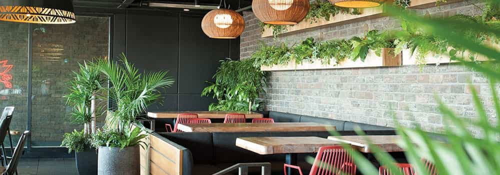 Commercial Solutions