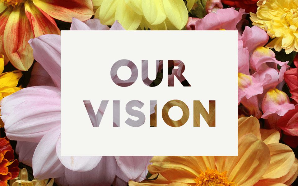 our-vision